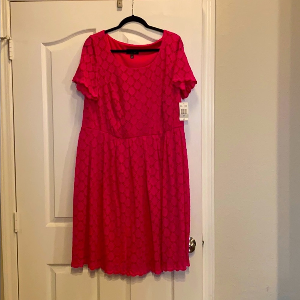 Hot pink lace dress